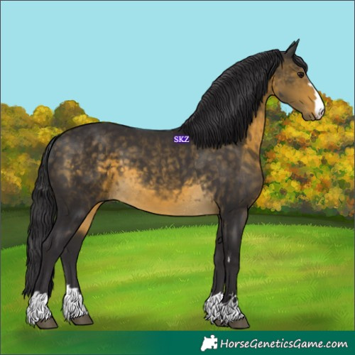 Horse Color:Unknown 