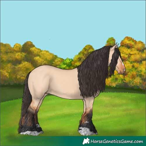 Horse Color:Bay Dun