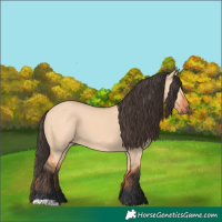 Horse Color:Bay Dun 