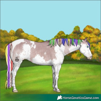 Horse Color:Painted White Spotted Silver Brown Dun Splash Tobiano Varnish