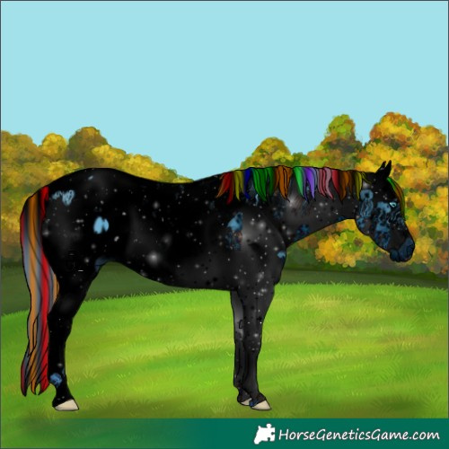 Horse Color:ERROR: UNKNOWN ANOMALY