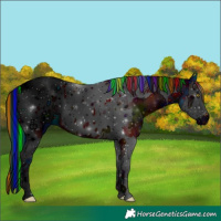 Horse Color:ERROR: UNKNOWN ANOMALY