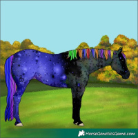 Horse Color:ERROR: UNKNOWN ANOMALY