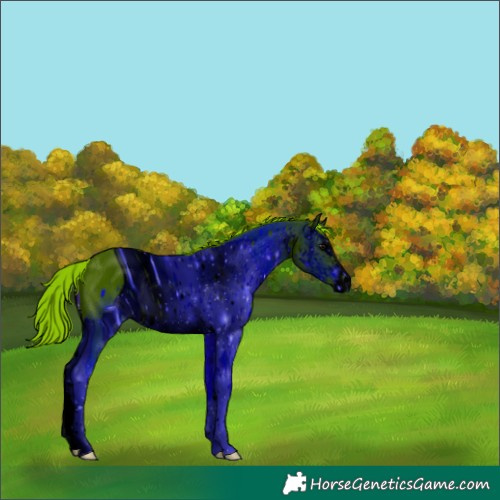 Horse Color:ERROR: UNKNOWN ANOMALY