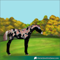 Horse Color:Nacre White Spotted Classic Champagne Splash Varnish 