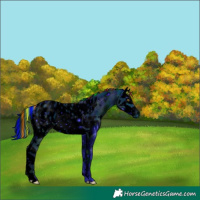 Horse Color:ERROR: UNKNOWN ANOMALY