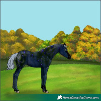 Horse Color:ERROR: UNKNOWN ANOMALY