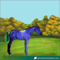 Horse Color:ERROR: UNKNOWN ANOMALY