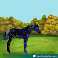 Horse Color:ERROR: UNKNOWN ANOMALY
