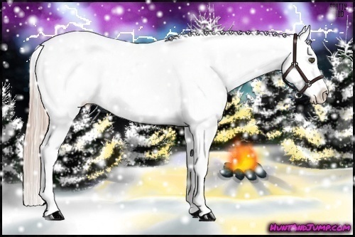 Horse Color:Chocolate Palomino Ice Appaloosa 