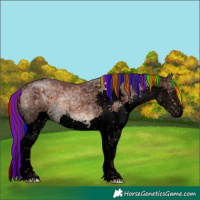 Horse Color:Void Painted Chocolate Brown Ice Dun Splash Tobiano Brindle 