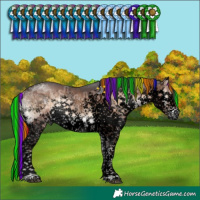 Horse Color:Void Painted White Spotted Liver Red Onyx Ice Splash Tobiano Brindle