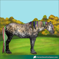 Horse Color:Void Painted White Spotted Chocolate Silver Buckskin Ice Onyx Sabino Splash Brindle 