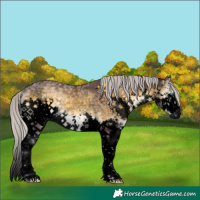 Horse Color:Void Chocolate Silver Buckskin Ice Onyx Sabino Splash 