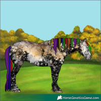 Horse Color:Void Painted White Spotted Chocolate Buckskin Ice Onyx Splash Tobiano Brindle