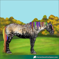 Horse Color:Void Painted White Spotted Chocolate Silver Buckskin Ice Onyx Sabino Splash Brindle 