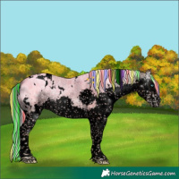 Horse Color:Void Painted White Spotted Silver Sable Champagne Ice Onyx Sabino Splash 