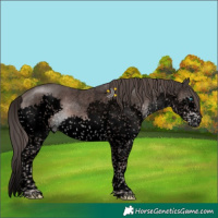 Horse Color:Void Platinum Liver Chestnut Sabino Splash Tobiano 