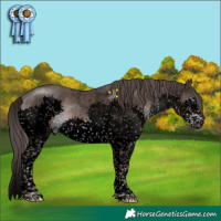 Horse Color:Void Platinum Liver Chestnut Sabino Splash Tobiano 