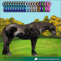 Horse Color:Void Platinum Liver Chestnut Sabino Splash Tobiano 