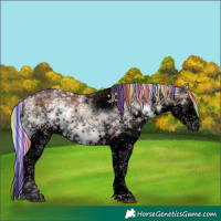 Horse Color:Void Painted White Spotted Chocolate Silver Brown Ice Onyx Sabino Splash Brindle 