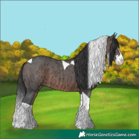 Horse Color:Brown Ice Splash Tobiano 