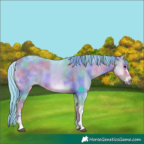 Horse Color:Nacre Watercolor Buckskin Onyx Sabino Tobiano 