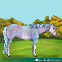 Horse Color:Nacre Watercolor Buckskin Onyx Sabino Tobiano 