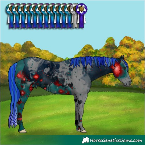 Horse Color:ERROR: UNKNOWN ANOMALY