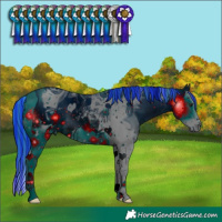 Horse Color:ERROR: UNKNOWN ANOMALY