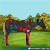 Horse Color:ERROR: UNKNOWN ANOMALY