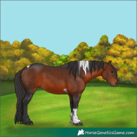 Horse Color:Brown Tobiano Rabicano 