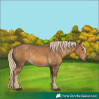 Horse Color:White Spotted Chocolate Palomino 
