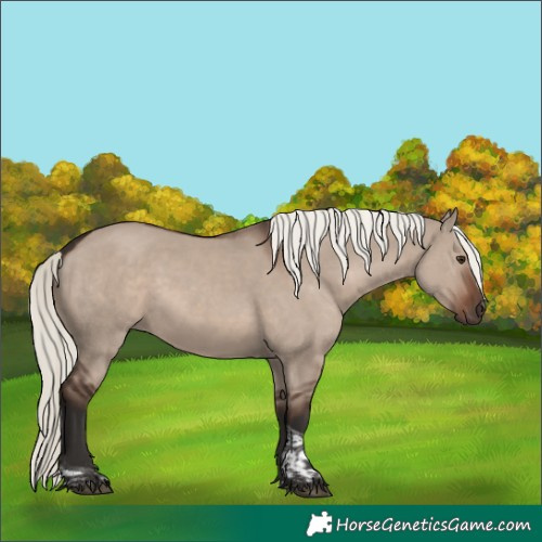 Horse Color:Liver Red Dun Mushroom Tobiano Rabicano 