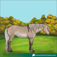 Horse Color:Silver Brown Dun 