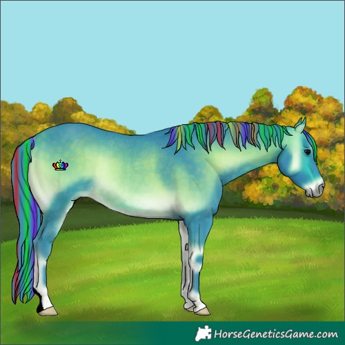 Horse Color:Painted Watercolor Buckskin Onyx Rabicano 