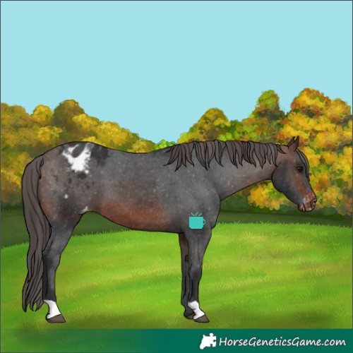 Horse Color:Brown Varnish 