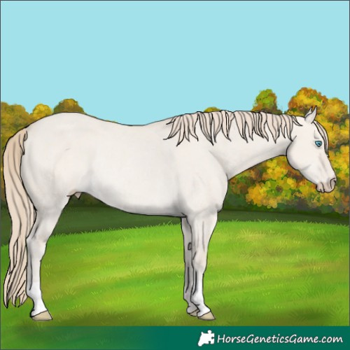 Horse Color:Smoky Creme Dun Rabicano 