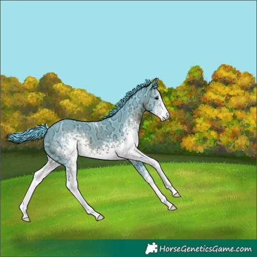 Horse Color:Watercolor White Spotted Brown Ice 