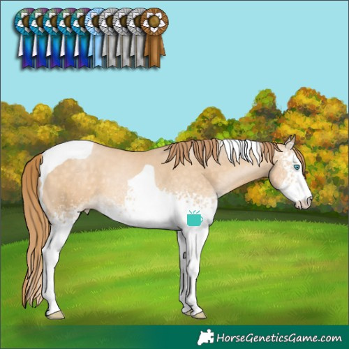 Horse Color:White Spotted Buckskin Pearl Tobiano 