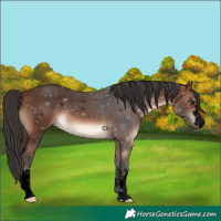 Horse Color:Void Brown 