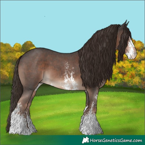 Horse Color:Liver Chestnut Sabino