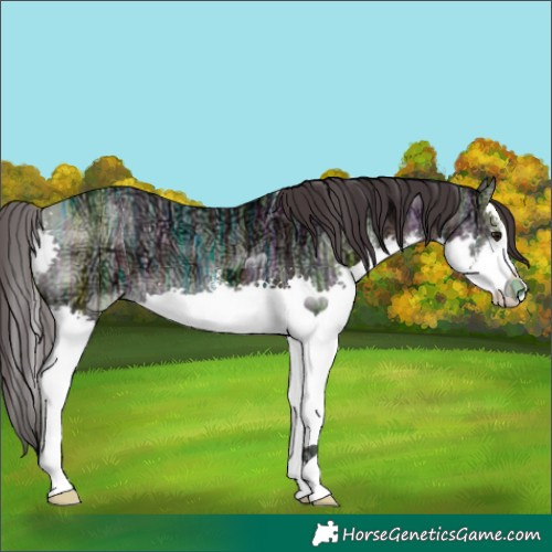 Horse Color:White Spotted Brown Ice Splash 