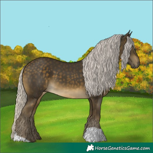 Horse Color:Silver Buckskin 
