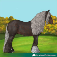 Horse Color:Silver Brown