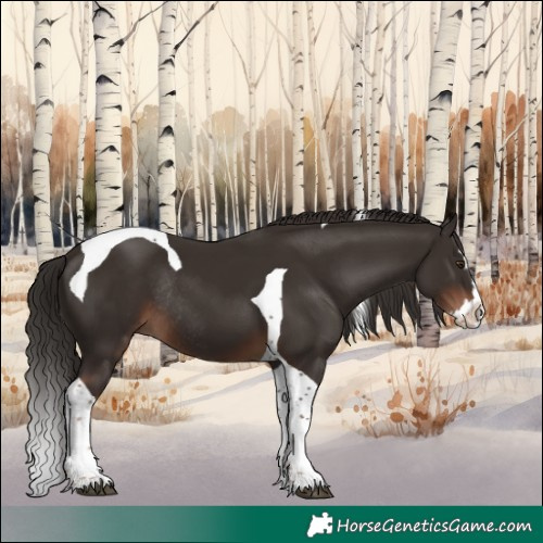 Horse Color:Liver Chestnut Splash Tobiano Rabicano 