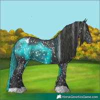 Horse Color:Black Snowflake Varnish