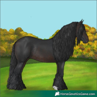 Horse Color:Brown Rabicano 