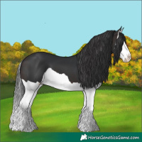 Horse Color:Brown Splash