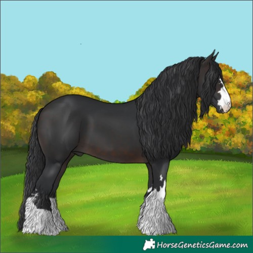 Horse Color:Brown 